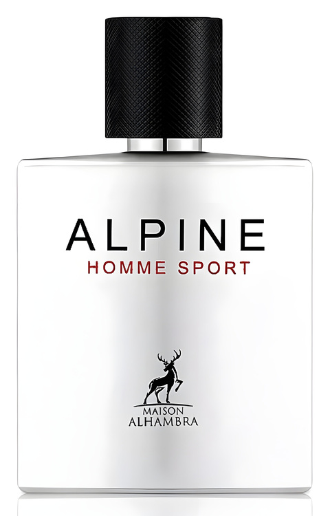 Alpine Homme Sport de MAISON ALHAMBRA